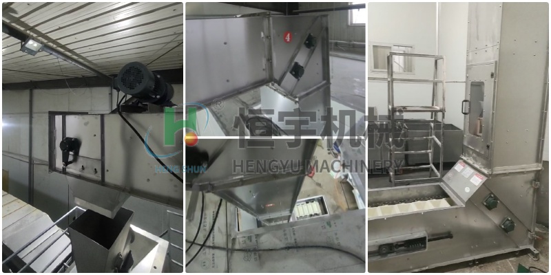 不銹鋼z型斗式提升機(jī)大豆客戶(hù)現(xiàn)場(chǎng)